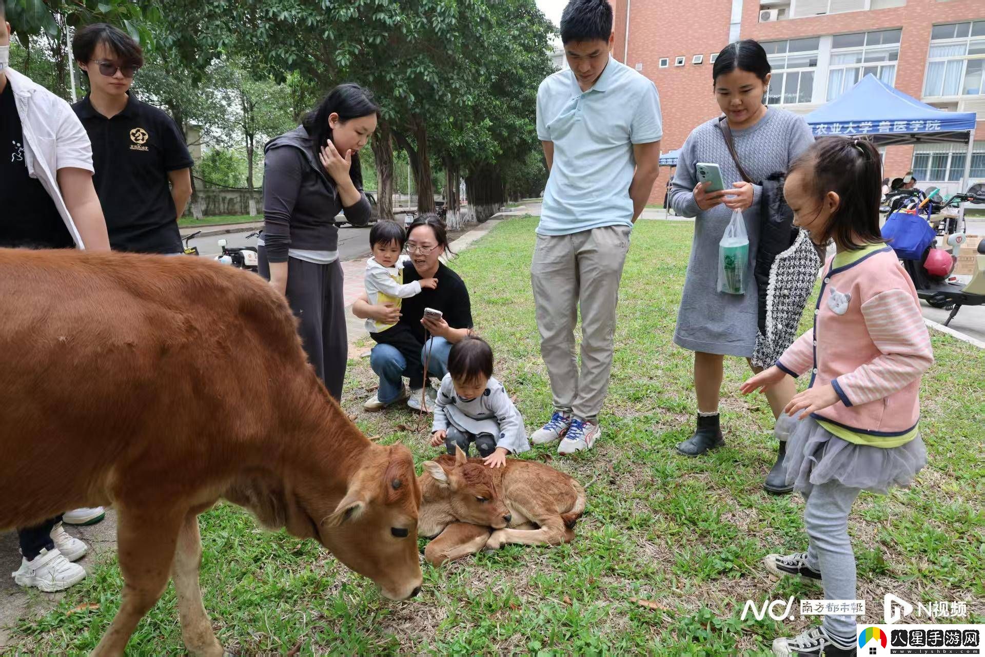 華農(nóng)馬文化節(jié)