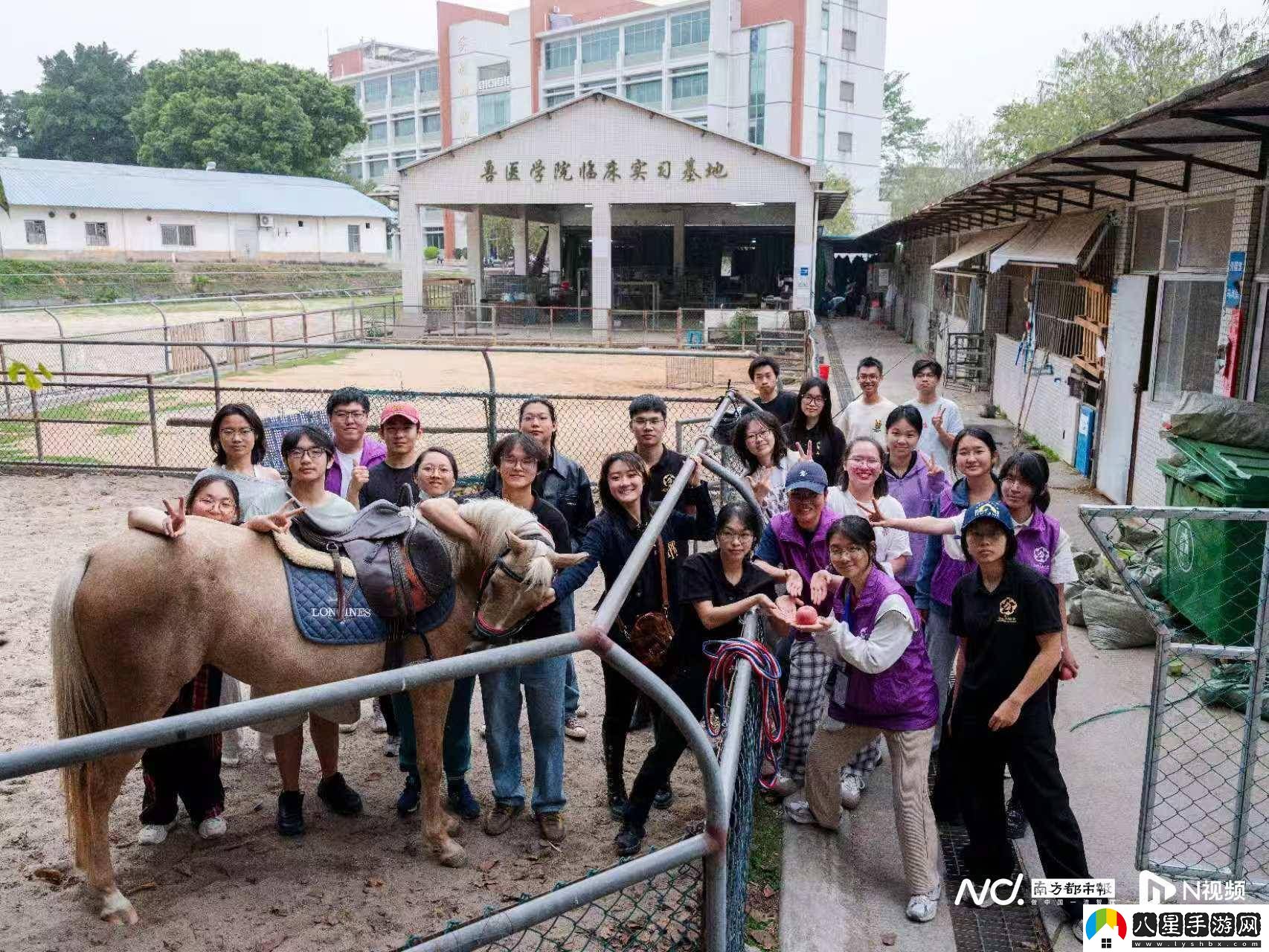 華農(nóng)馬文化節(jié)