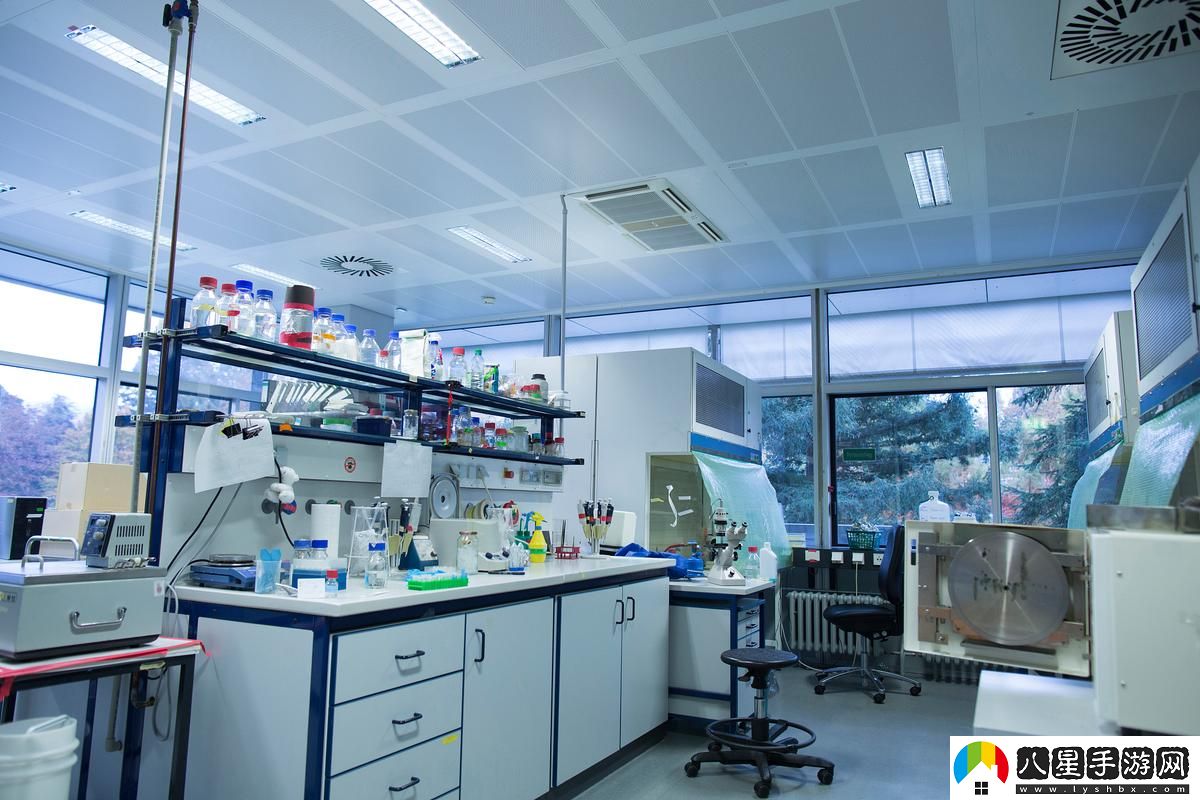 fi11四葉草實(shí)驗(yàn)室2024