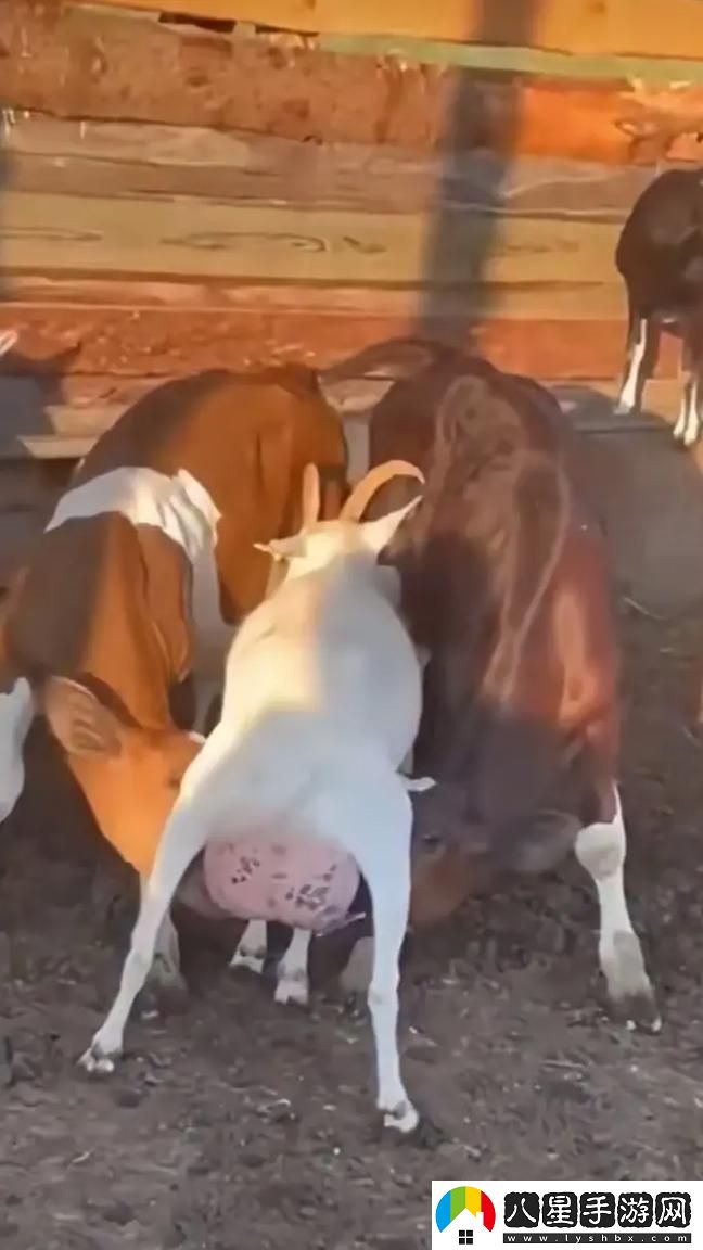 雙乳被一左一右吃著奶