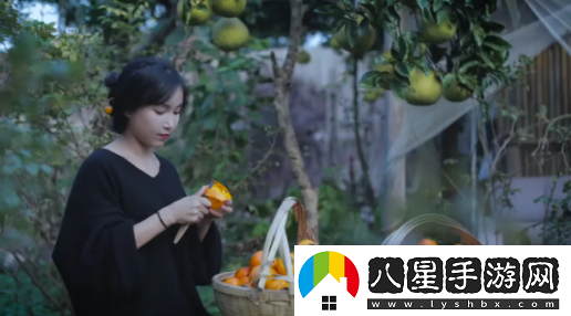 快手極速版官方正版