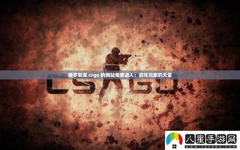 俄羅斯賣CSGO的站免費(fèi)進(jìn)入