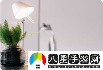 曉絡(luò)app官方正版免費(fèi)下載