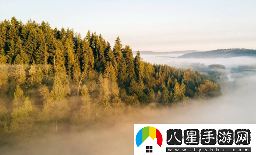 主題壁紙大全免費(fèi)主題桌面