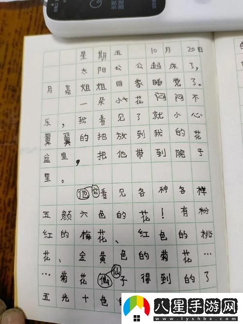 蘇蘇的公交車日記