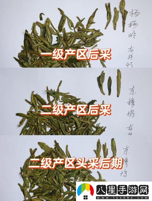 三級(jí)產(chǎn)區(qū)和二級(jí)產(chǎn)區(qū)的區(qū)別與聯(lián)系