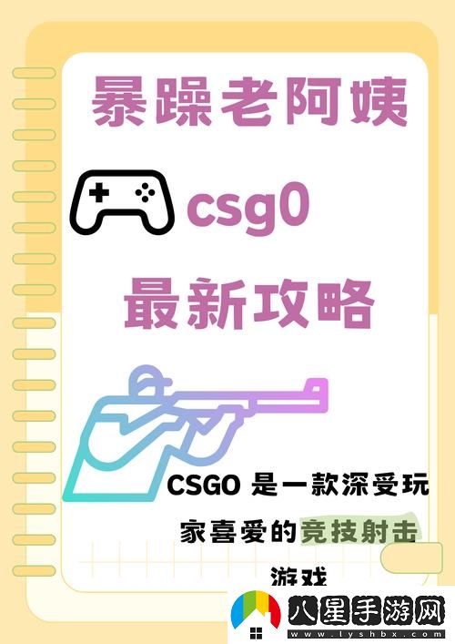 暴躁老阿姨CSGO上線