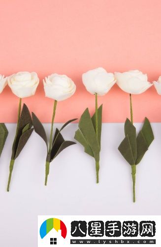 中文日產(chǎn)亂幕八區(qū)辣妹版